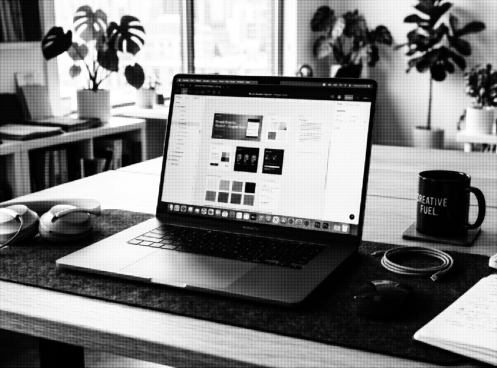 Zestify Creative Studio